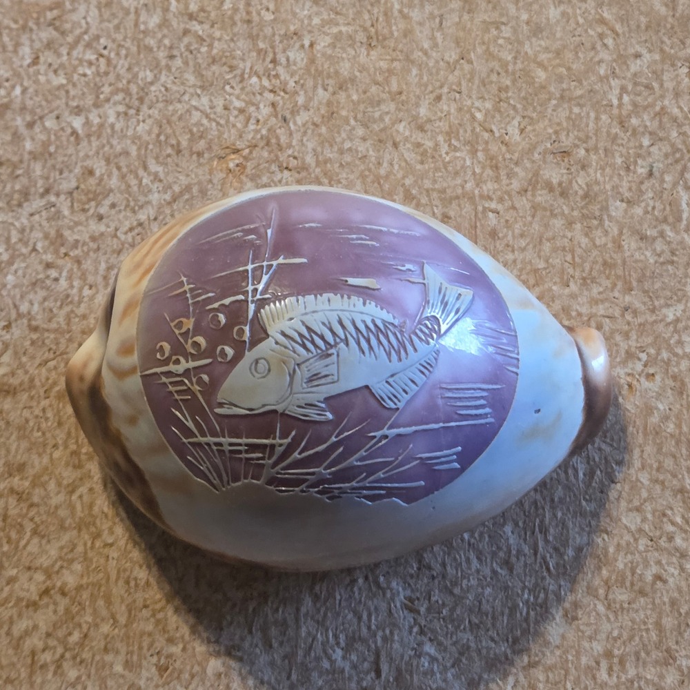 Hand Carved Tiger Cowrie Shell Fish Cameo Purple Brown OS Excellent